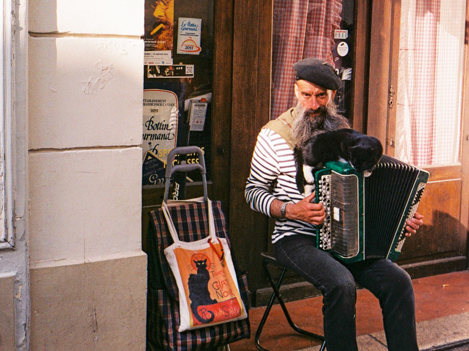 Accordeonist met poes