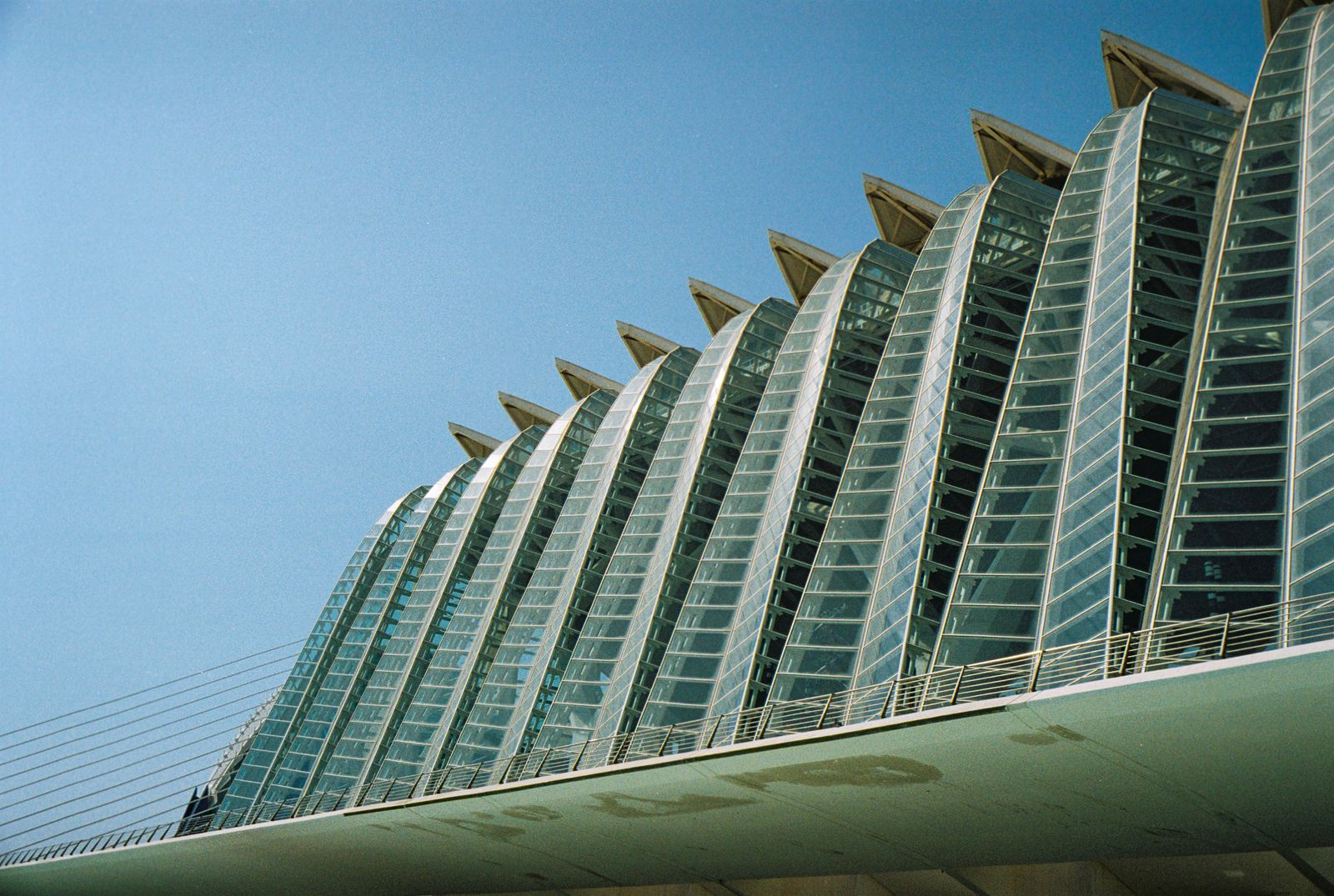 Museo de las Ciencias