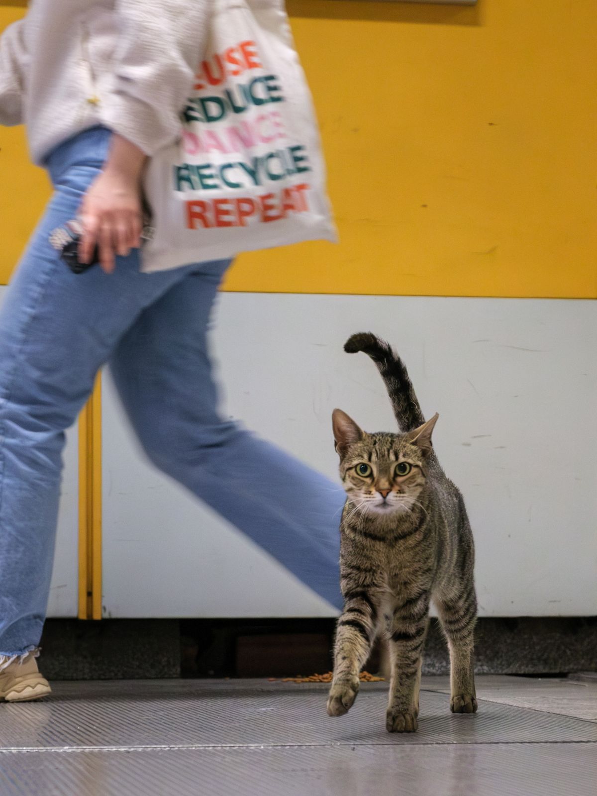 Poes in metro