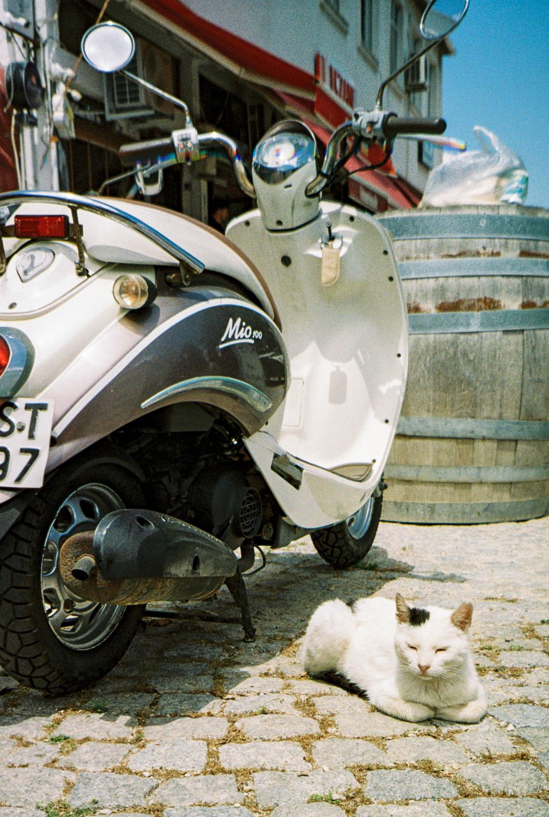 Scooter poes